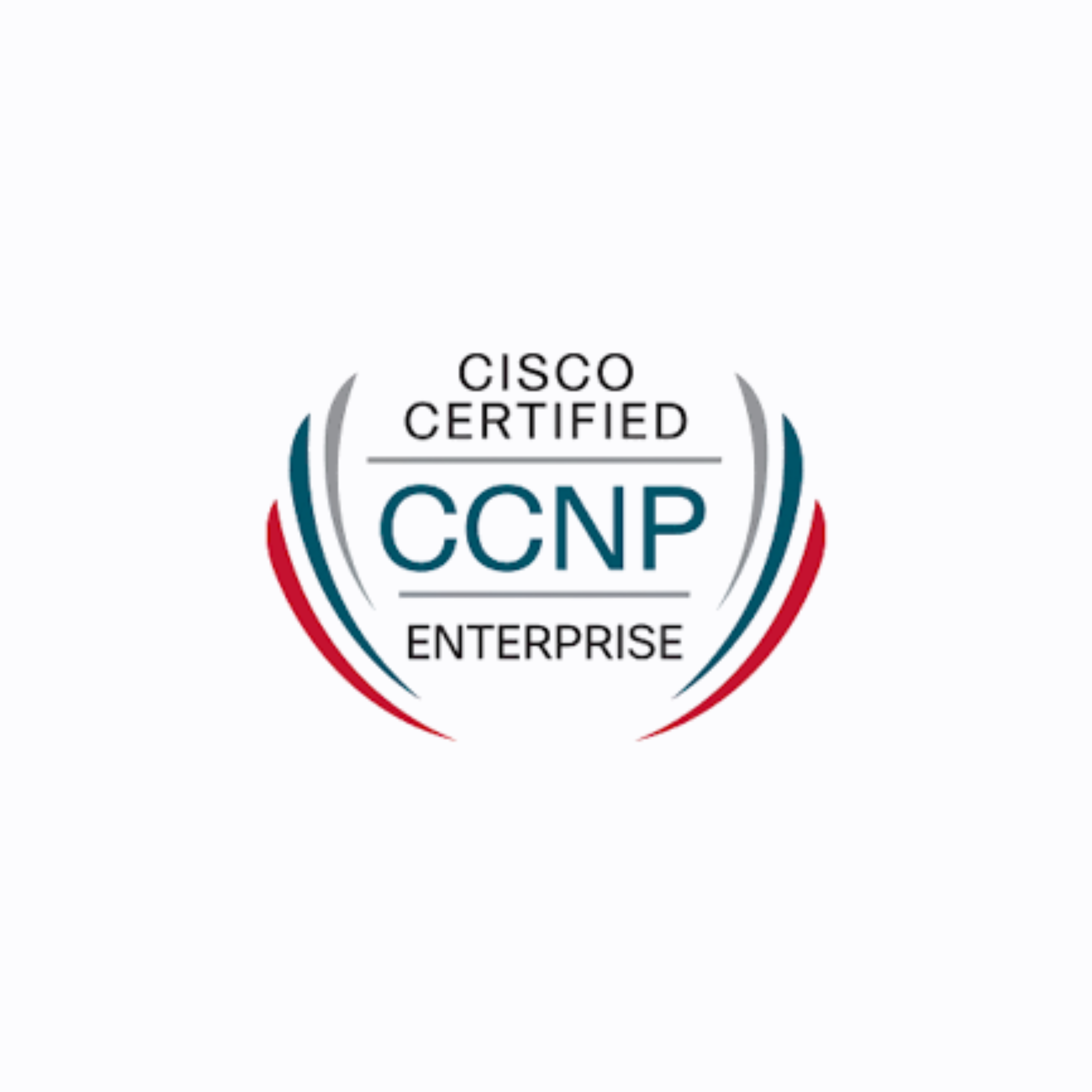 Cisco Certified Network Professional (CCNP) Enterprise (350-401 ENCOR)